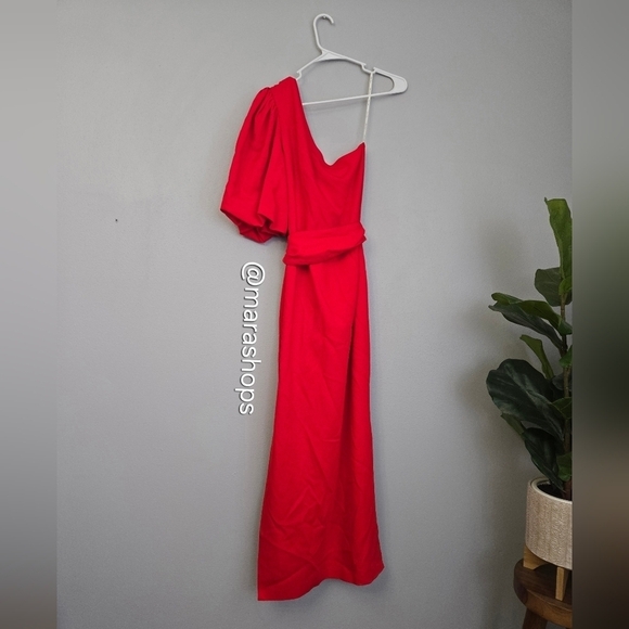 Cara Cara Lucia Red One Shoulder Dress - Picture 6 of 7